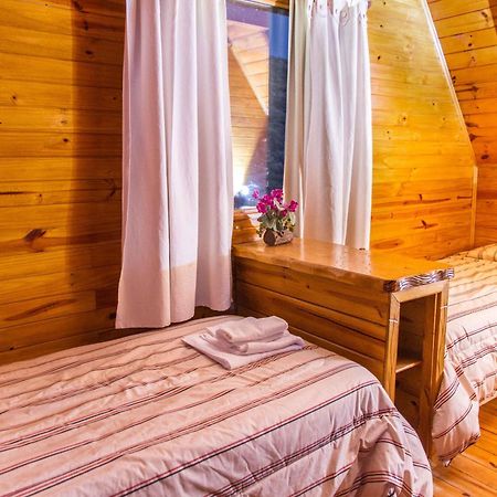 Brillos Patagonicos El Calafate Esterno foto